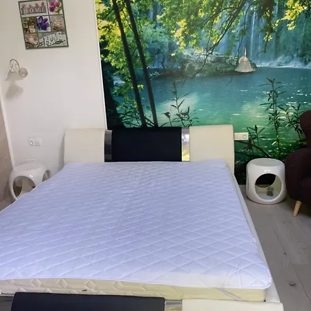Apartment Regina Delux Gyula