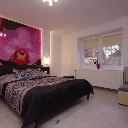 Appartamento Regina Delux *