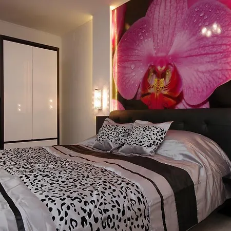 Apartament Regina Delux *
