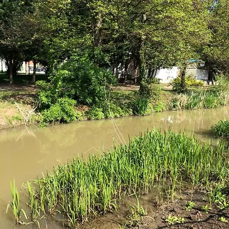 Regina Delux Appartamento *