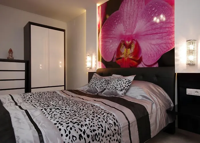 Appartement Regina Delux *